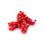 Crimson Red Currant Pearls
