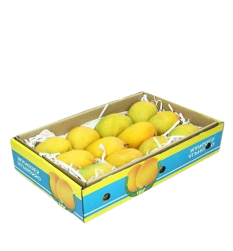 Dozen Alphonso Mango Gift Case Box (12)