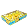 Dozen Alphonso Mango Gift Case Box (12)