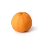 Egyptian Valencia Citrus Orange