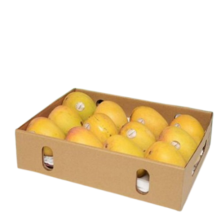 Fresh Alphonso Mango Delight Basket