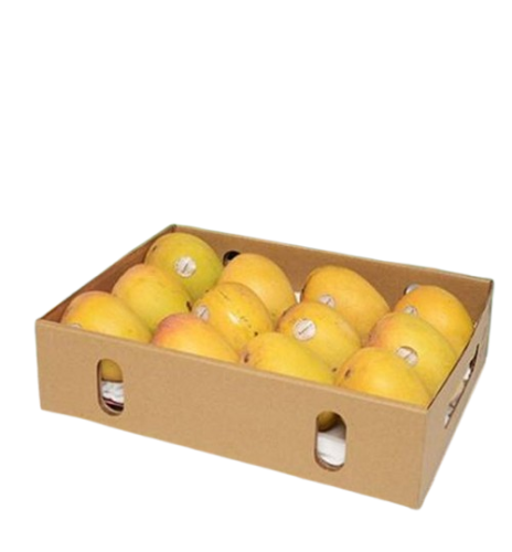 Fresh Alphonso Mango Delight Basket