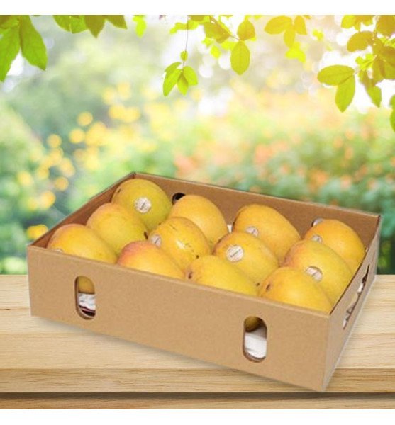 Fresh Alphonso Mango Delight Basket
