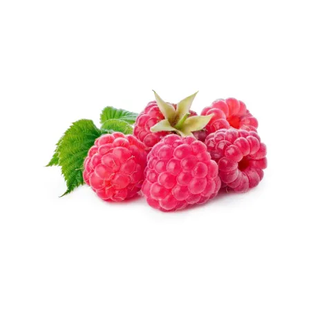 Homegrown Ruby Raspberries
