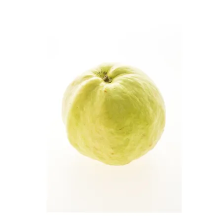 Jumbo Guava White Fresh