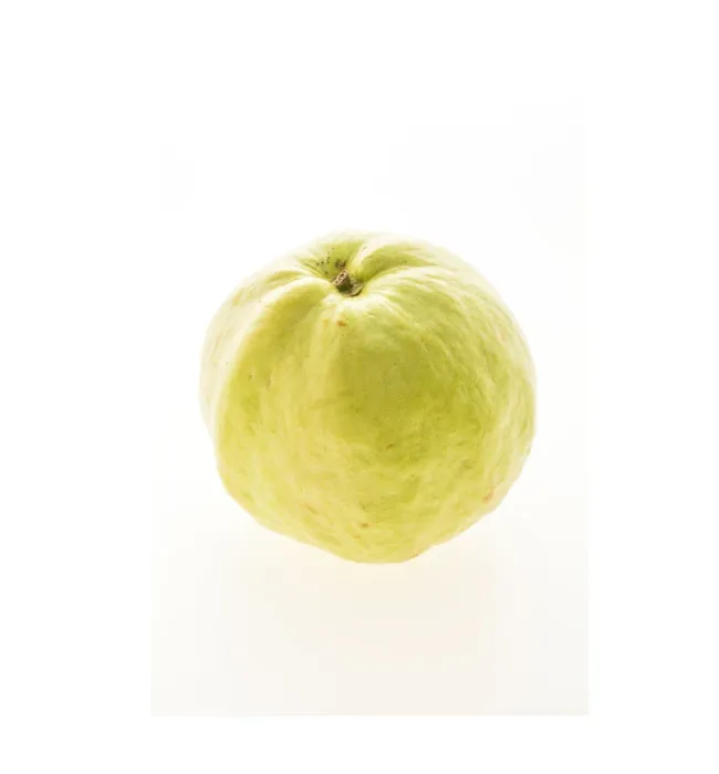 Jumbo Guava White Fresh