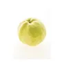 Jumbo Guava White Fresh