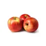 New Zealand Queen Apple Delight
