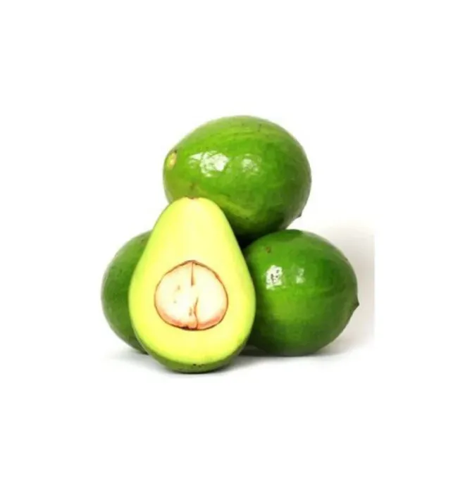 Ooty Butterhead Avocado Fresh