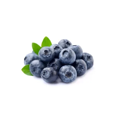 Peruvian Blueberry Treats