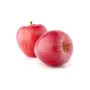 Royal Gala Turkey Fresh Apple Pick