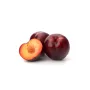 Spanish Orchard Plum