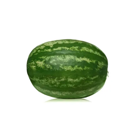Summer Refresh Watermelon