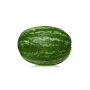 Summer Refresh Watermelon
