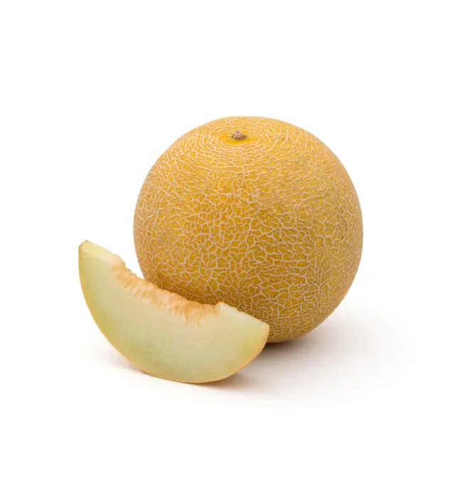 Sweet Honeydew Melon Delight