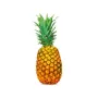 Sweet Pineapple Homegrown