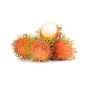 Thai Rambutan Harvest Fruit