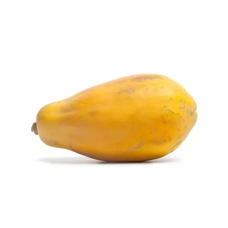 Tropical Papaya Fruit