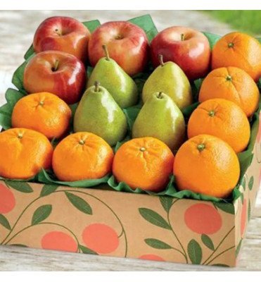 Wellness Bite Fruit Basket