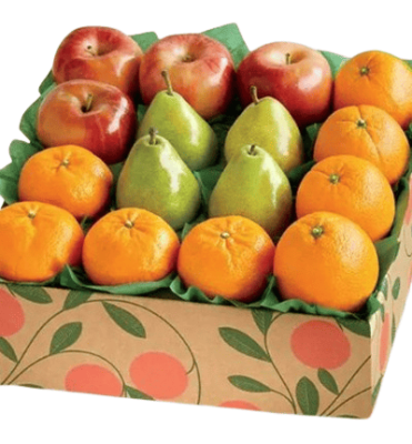 Wellness Bite Fruit Basket