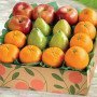 Wellness Bite Fruit Basket