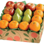 Wellness Bite Fruit Basket