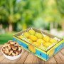 Alphonso Mango With Dry Fruits