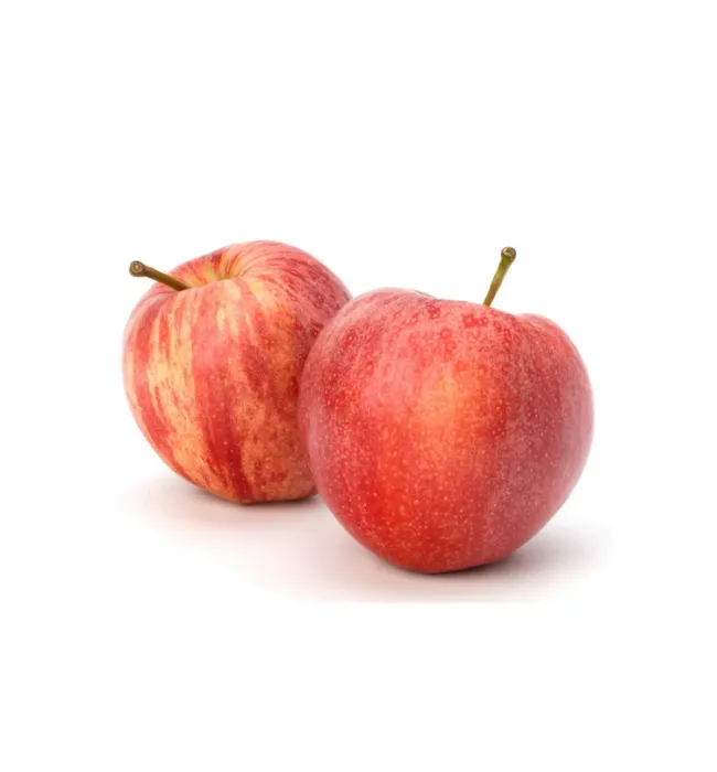 Apple Pink Lady South Africa