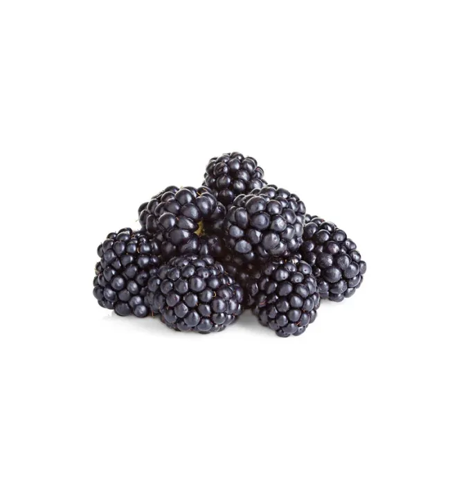 Blackberry