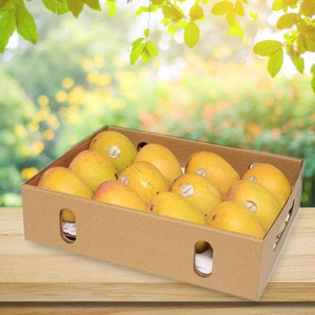 Fresh And Juicy Alphonso Mangoes
