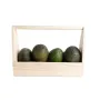 Hass Avacado Gift Box