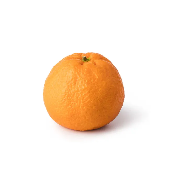 Orange Valencia Eygpt