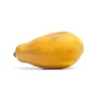 Papaya