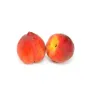 Peach Rajgarh
