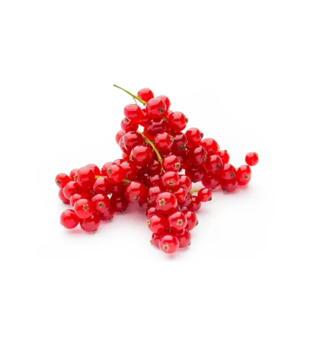 Red Current
