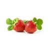 Strawberry Netherlands