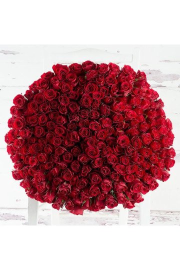 200 Roses Hand Bouquet 200 Roses Hand Bouquet
