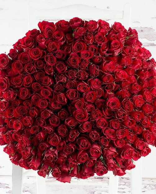 200 Roses Hand Bouquet