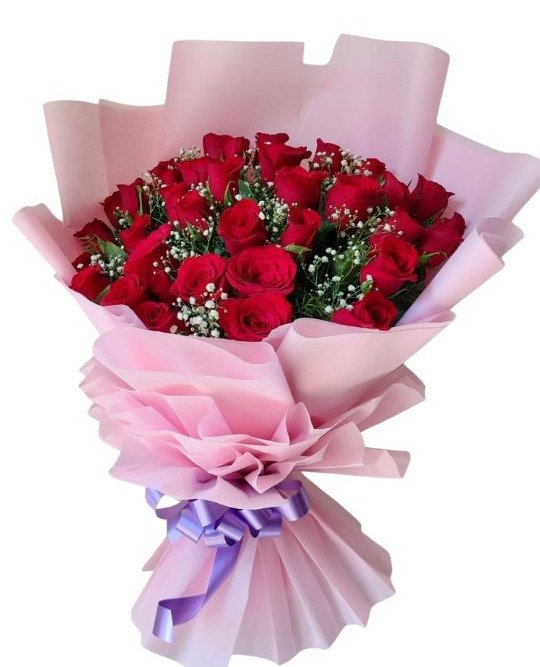 Red Rose Delight