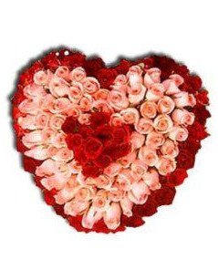 100 Pink and Red Roses Heart Bouquet