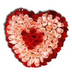 100 Pink and Red Roses Heart Bouquet