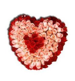 100 Pink and Red Roses Heart Bouquet