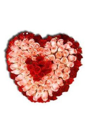 100 Pink and Red Roses Heart Bouquet