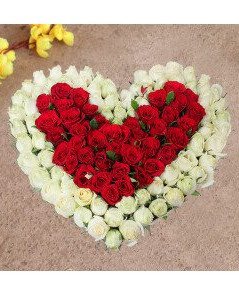 100 White & Red Roses Heart shape 
