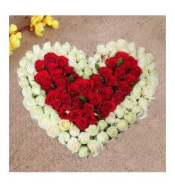 100 White & Red Roses Heart shape 