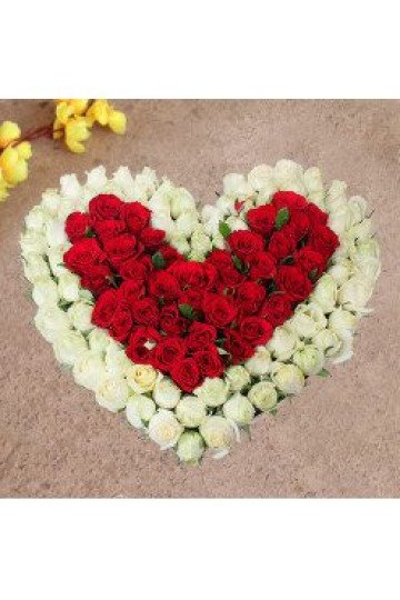 100 White & Red Roses Heart shape 100 White & Red Roses Heart shape