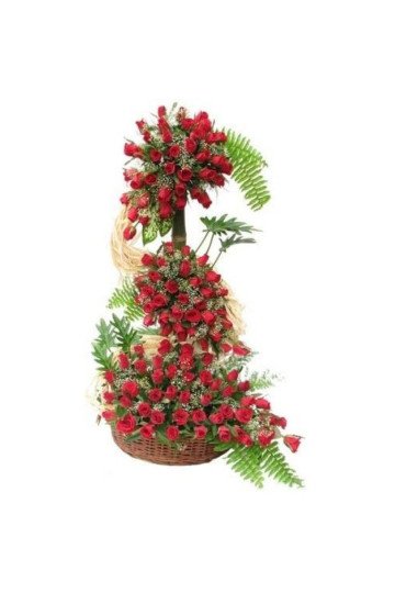 120 Roses Special Arrangement