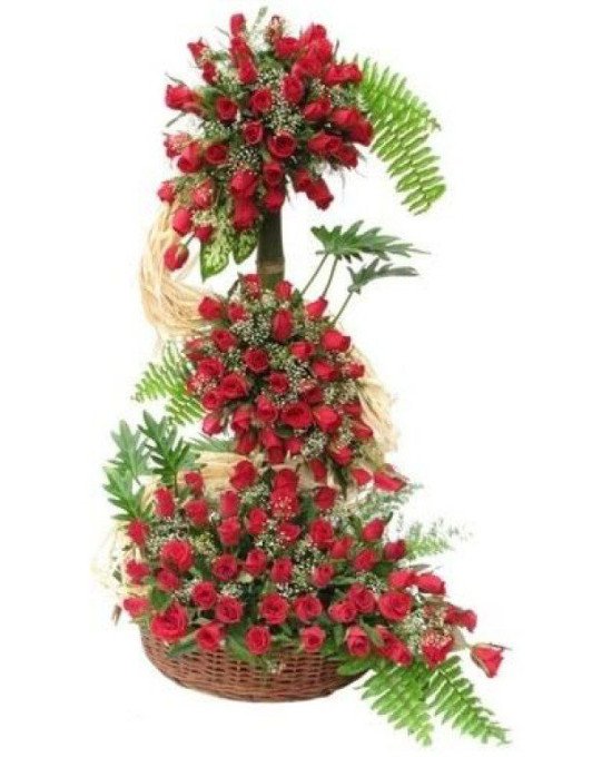 120 Roses Special Arrangement