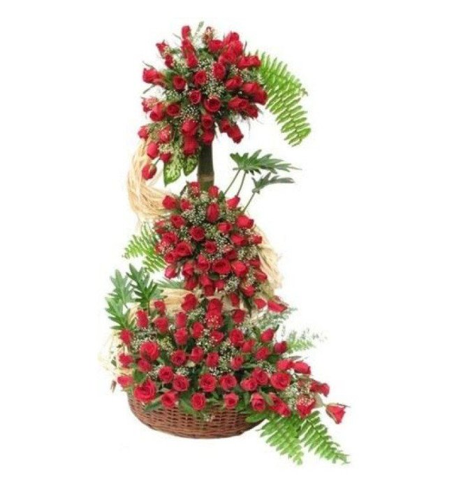 120 Roses Special Arrangement