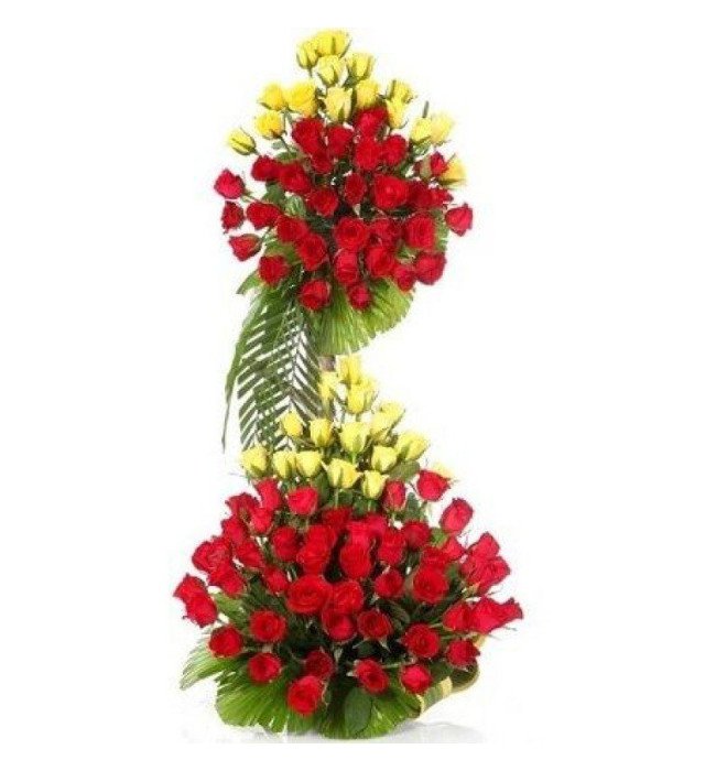 Two Step 80 Roses Arrangement